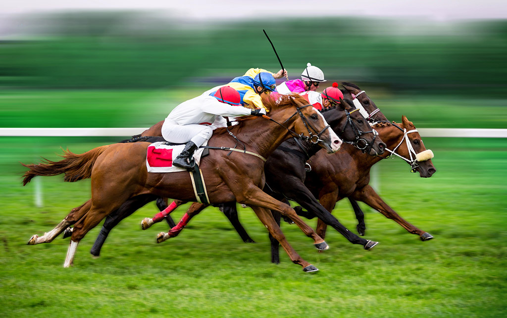 Race horses with jockeys